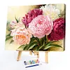 Peony Flower-Paint by Numbers Acrylic Painting 50*40cm