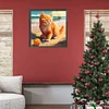 Cat-Paint by Numbers Acrylic Painting 40*40CM