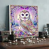 Framed Diamond Painting - Special Shaped - Owl (25x25cm)