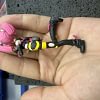 1/20 Scale World Zukan Coral Pokemon Trainer - Pokemon Resin Statue - Maga Studio