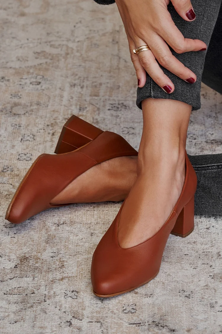 Solid Color Pointed Toe Retro Brown Chunky Heels [Pre Order]