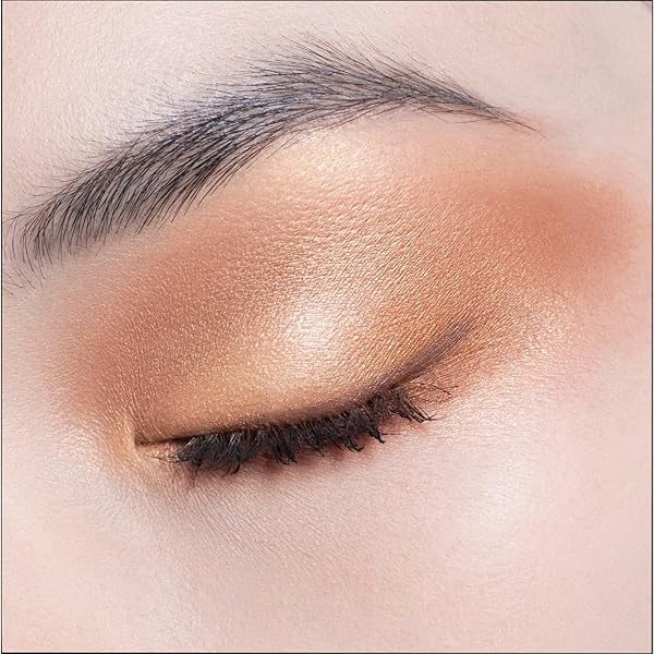Dior Christian 5 Colour Couture Eyeshadow Palette (423 Amber Pearl)