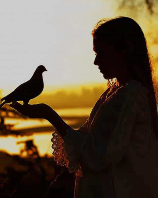 

Girl And Bird – Paint By Numbers - 40*50CM, 501 Original