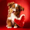 Love Dog Cat-Full Round Diamond Painting 30*30CM