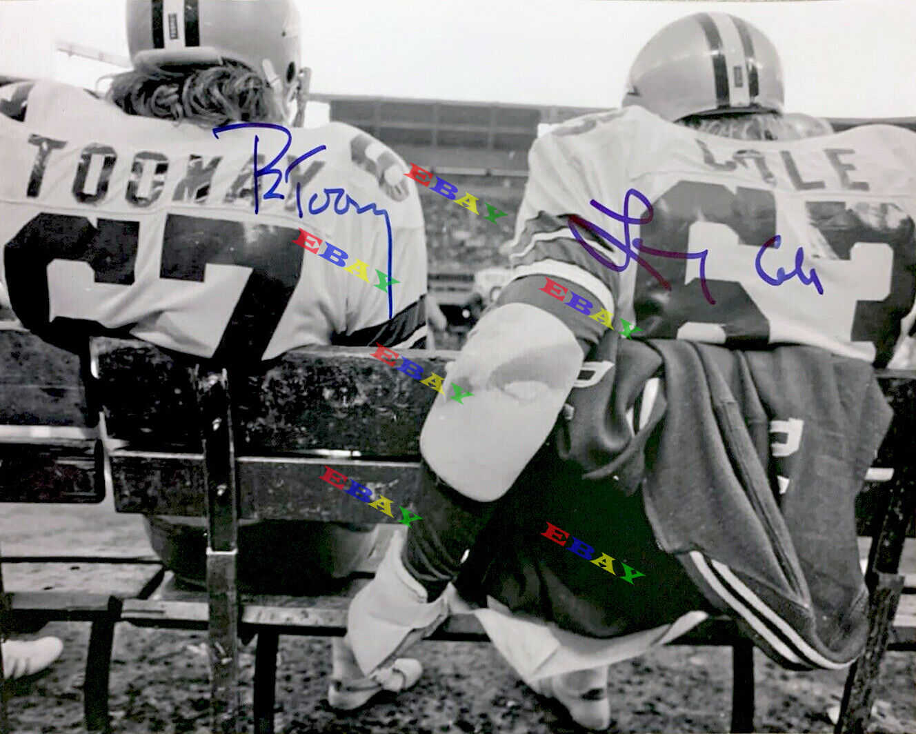 Larry Cole & Pat Toomay DALLAS COWBOYS Autographed 8x10 Photo Poster painting Reprint