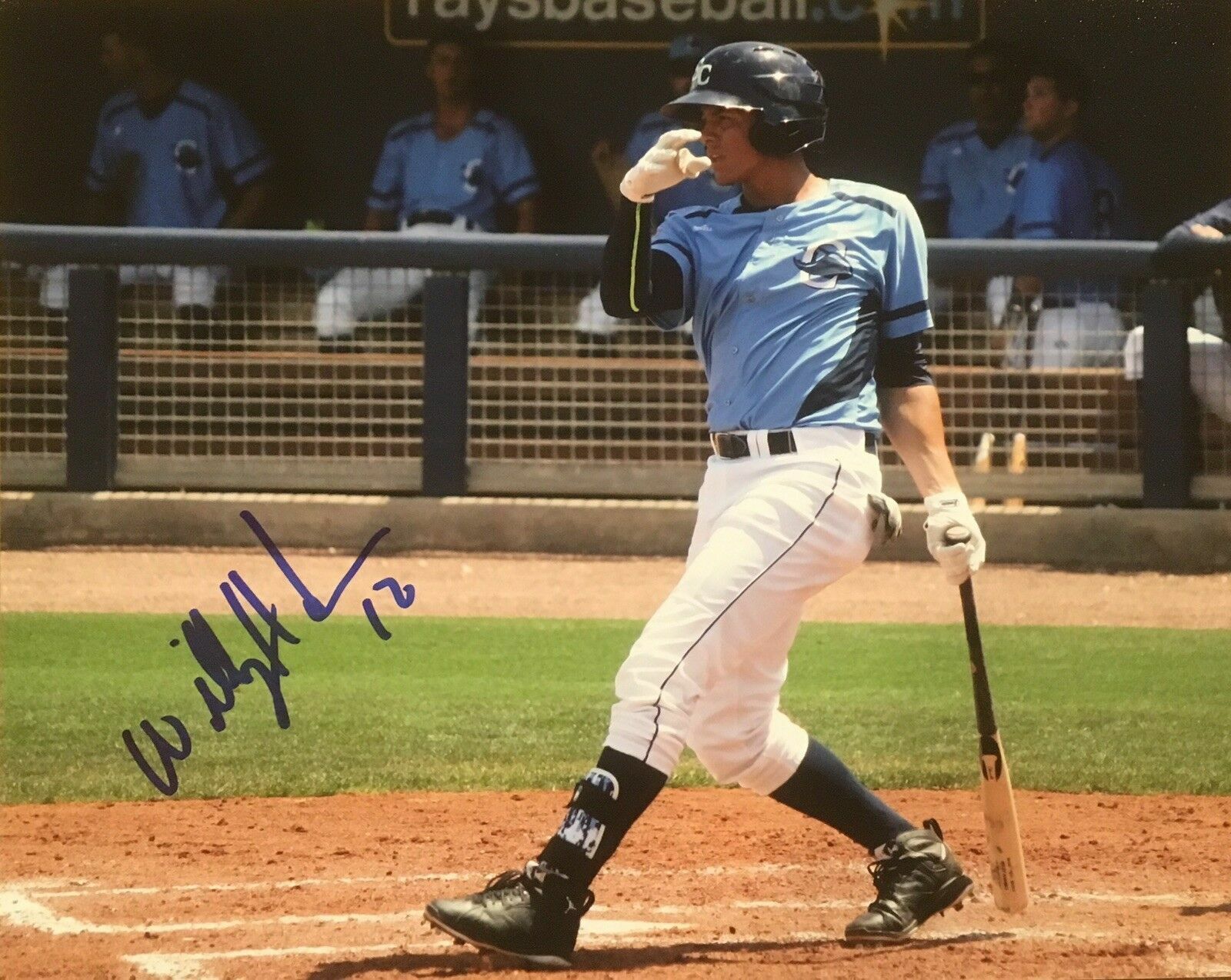 Willy Adames Autographed Signed 8x10 Photo Poster painting ( Devil Rays ) REPRINT