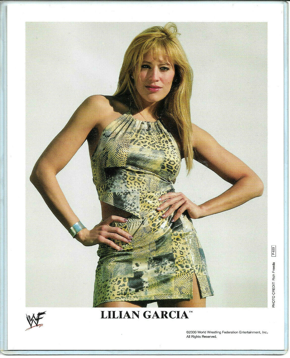 WWE LILIAN GARCIA P-633 AUTHENTIC LICENSED 8X10 PROMO Photo Poster painting VERY RARE