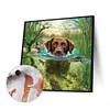 uk.everydayedeals (Limited Stock)Paint By Number - Oil Painting -  Dog (40*40Cm)