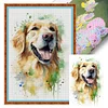 (Stamped/Counted) Golden Retriever-11CT Cross Stitch 40*60cm(Big Size)