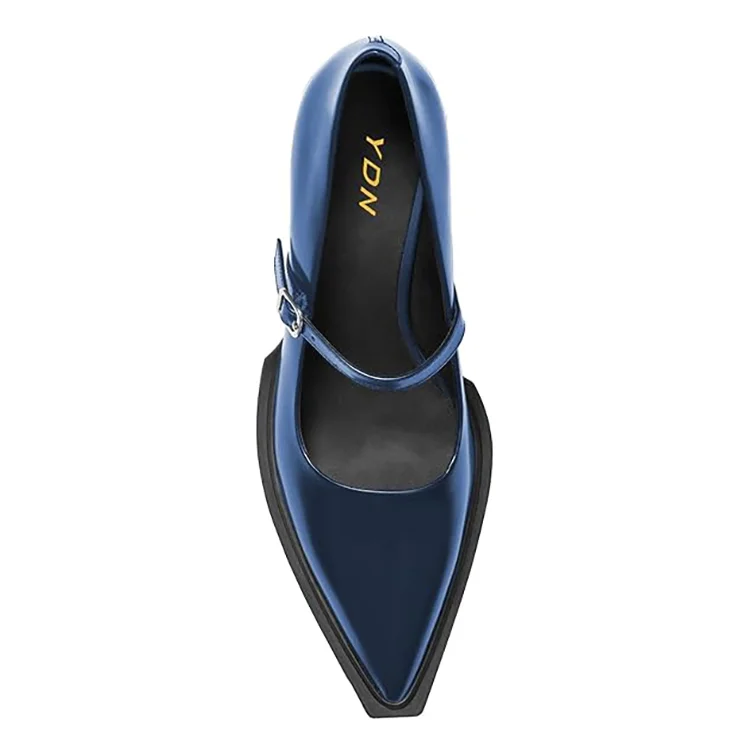 Classic Navy Pointed Toe Chunky Heel Buckle Strap Mary Jane Shoes