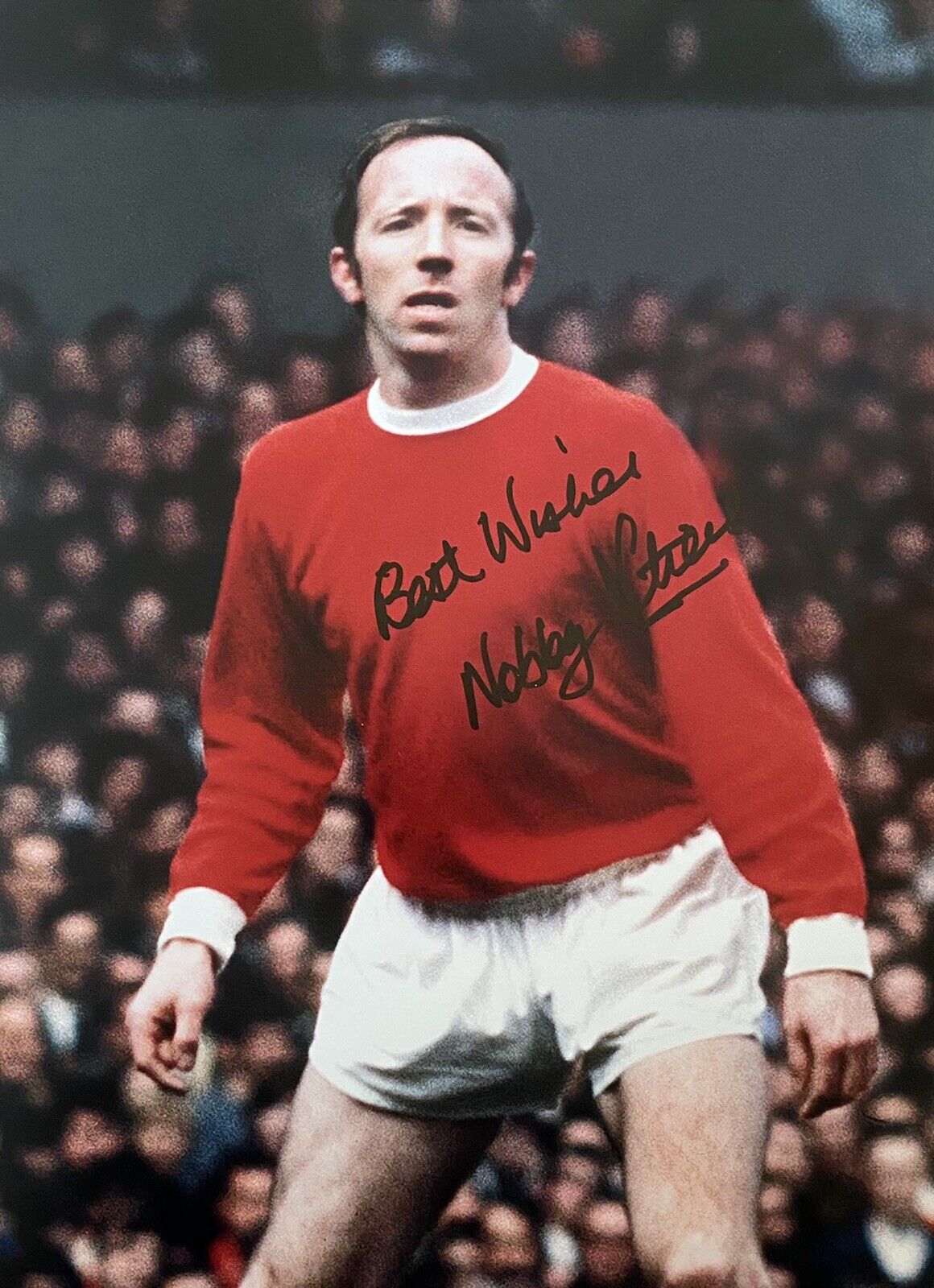 Nobby Stiles Hand Signed Manchester United 16x12 Photo Poster painting, England, 1