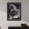 Diamond Painting-DIY Special Shaped Drill Pearl Painting Black Horse(30x40cm)