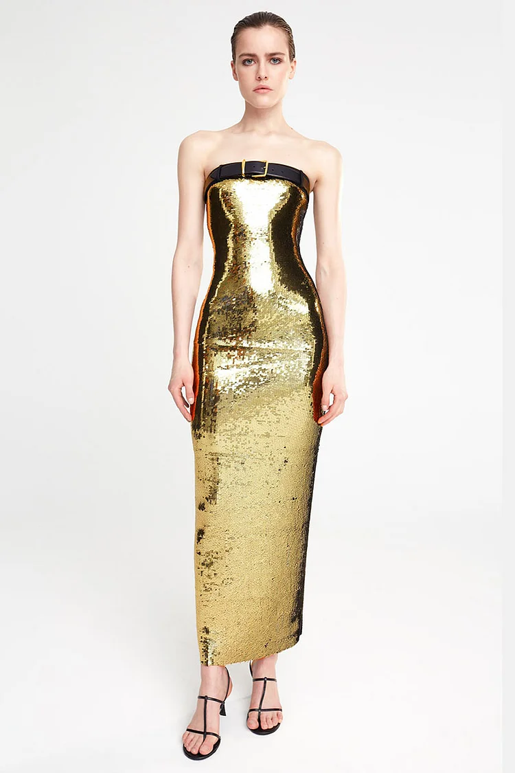 Sequins Belt Decor Boat Neck Strapless Slim Fit Gowns Maxi Dresses