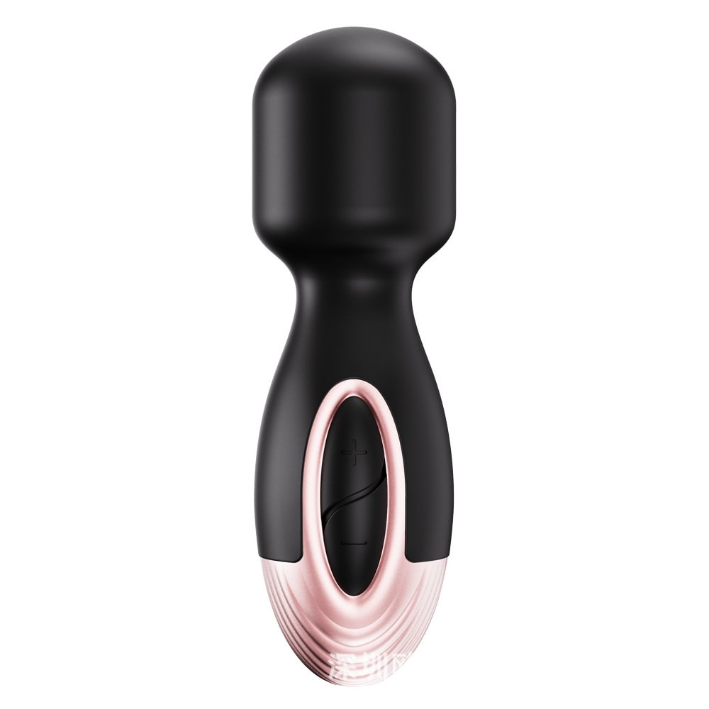 Violets Mini Silicone Massage Wand Vibrator 