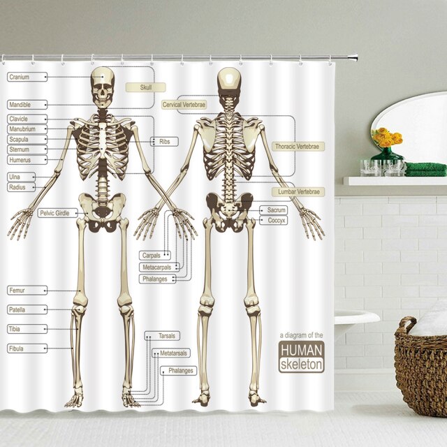 

Shower Curtain – Medicine Human Body Structure Chart-180*180cm, 501 Original