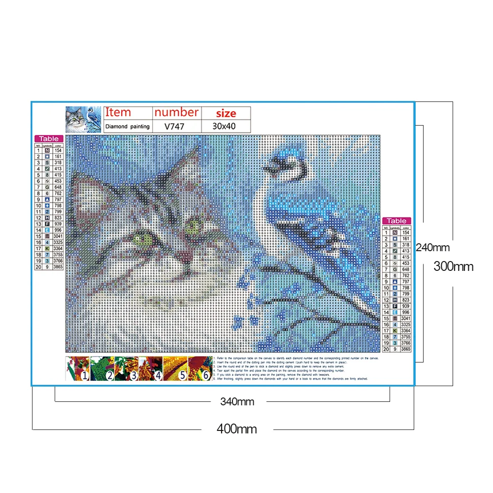 Diamond Painting - Full Round Drill - Cat Bird(40*30cm)