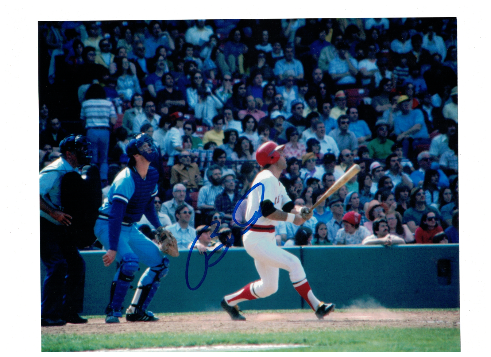 Bernie Carbo Boston Red Sox Signed 8 x 10