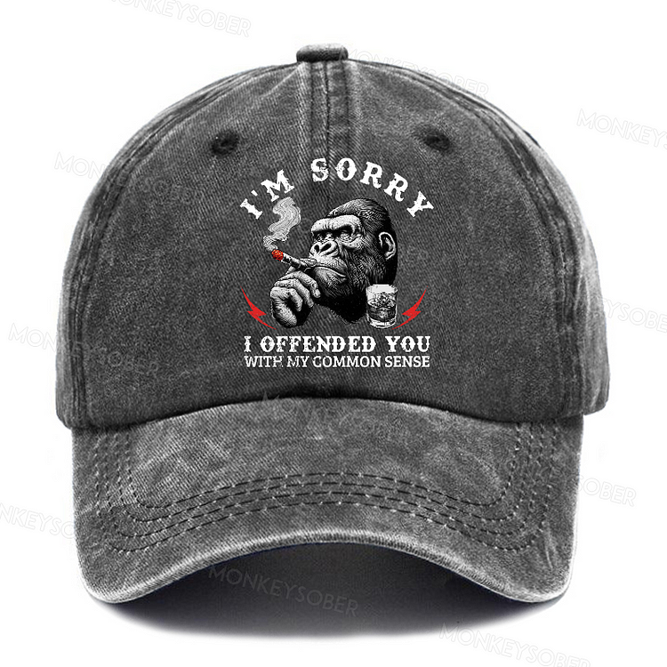 Personalized "I'm Sorry I Offended You With My Common Sense " Custom Washed Baseball Caps