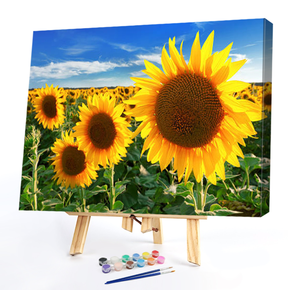 

50*40CM - Paint By Numbers - Sunflower, 501 Original