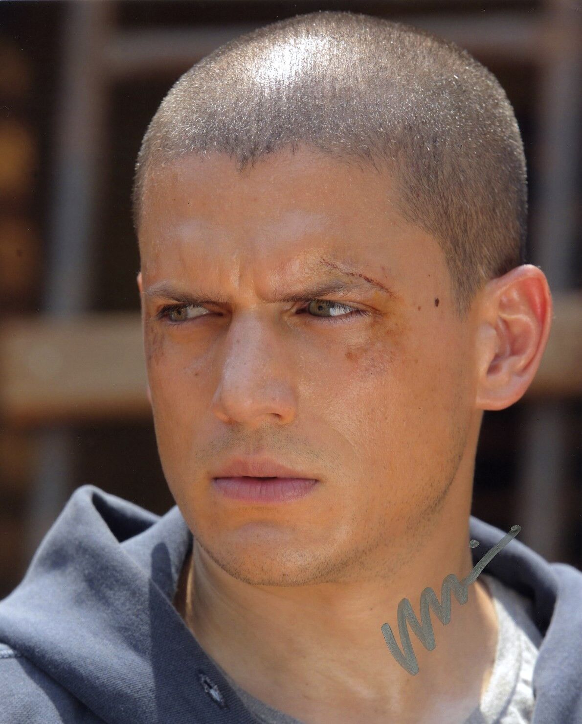 WENTWORTH MILLER SIGNED AUTOGRAPHED COLOR Photo Poster painting PRISON BREAK