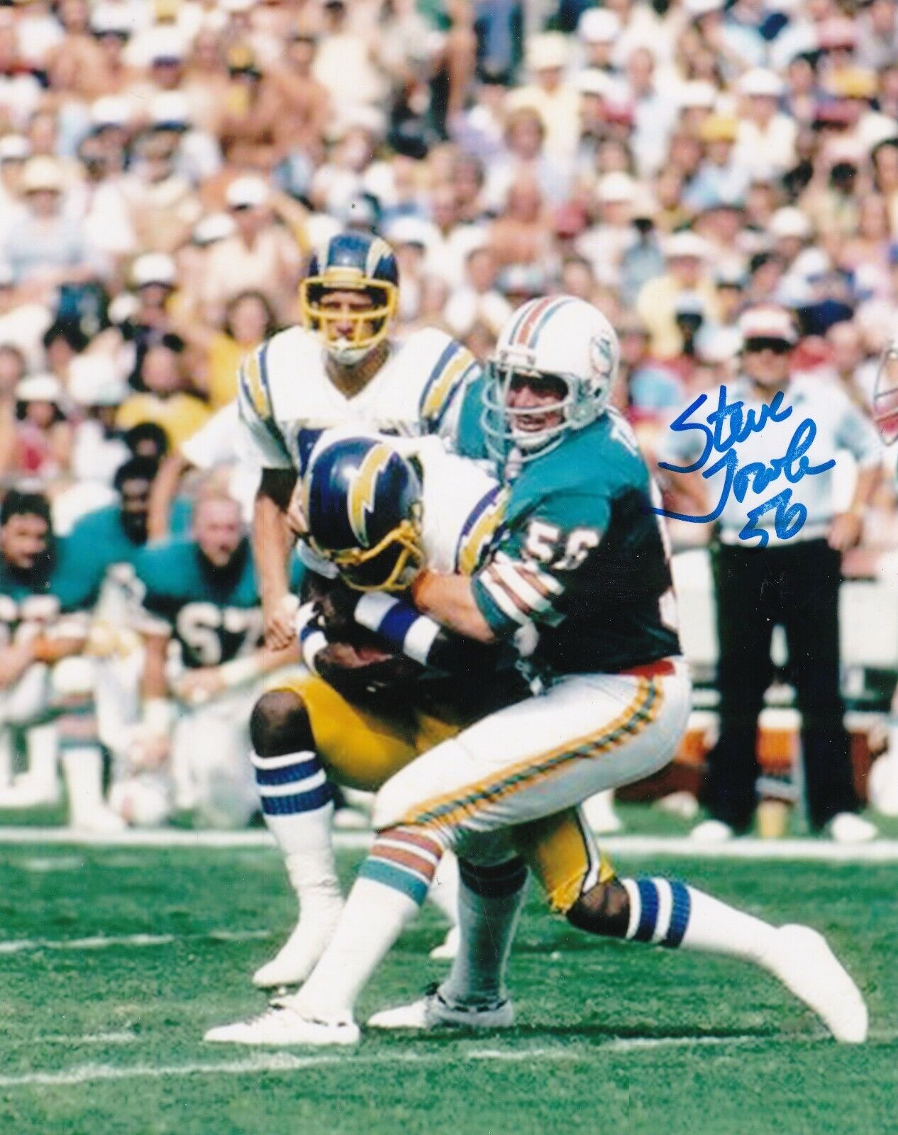 STEVE TOWLE MIAMI DOLPHINS ACTION SIGNED 8X10