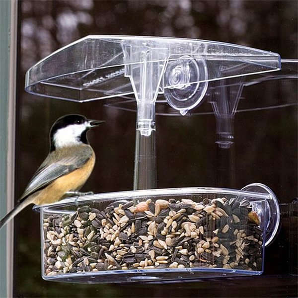 Clear Window Mount Bird Seed Feeder