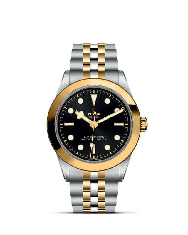 Tudor Black Bay 39 S&G
