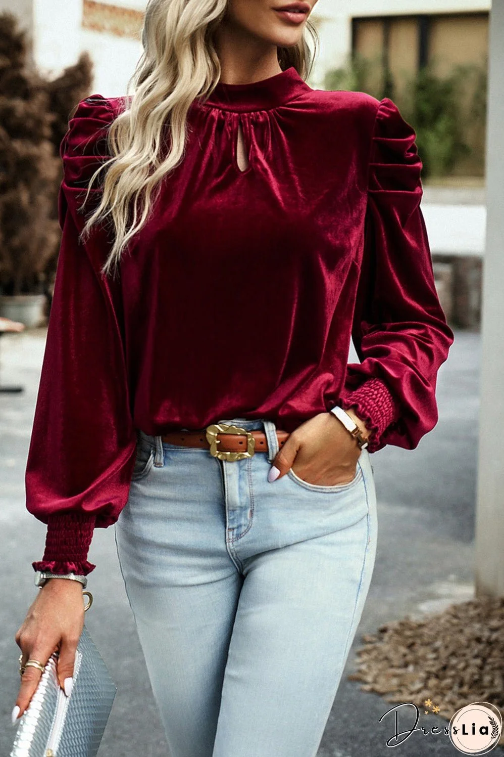Tie Up Mock Neck Velvet Fabric Long Sleeve Blouse