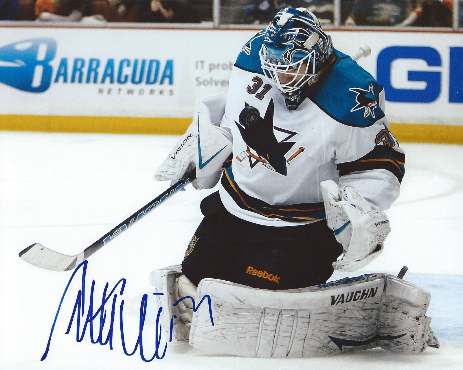 Antti Niemi Signed 8x10 Photo Poster painting San Jose Sharks Autographed COA E