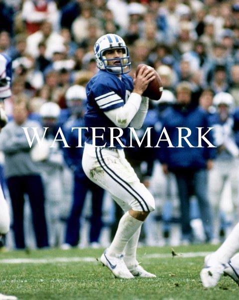 STEVE YOUNG BYU Cougars Glossy 8 x 10 Photo Poster painting Poster