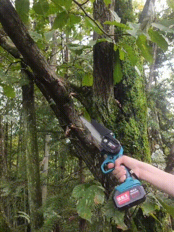 1712561293245105.gif 动图1.gif.gif