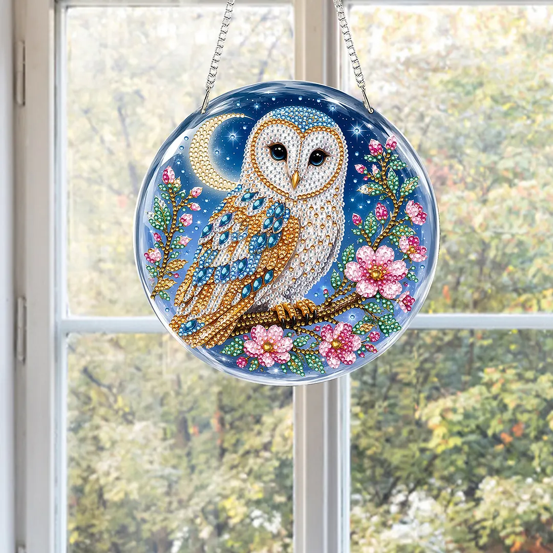 Diamond Painting Kit Moon Owl Sun Ornament for Adults 7.87x7.87in
