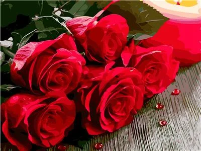 DIY Paint by Numbers Canvas Painting Kit for Kids & Adults - Red Roses Painting、bestdiys、sdecorshop