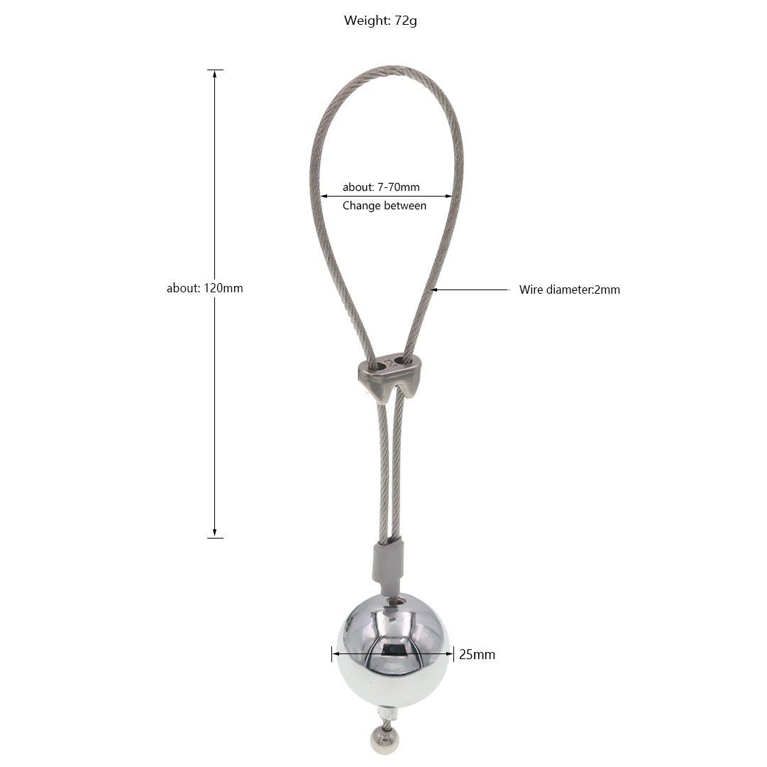 BDSM CBT Penis Training Weights 