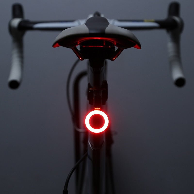 Bright Bike Light Bike Led Tail Light Bike Safety light with 5 Light Modes USB Chargeable