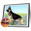 Diamond Painting-DIY Full Round Drill Dogs