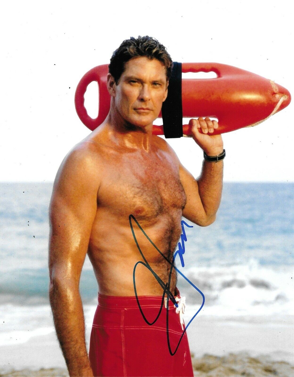 David Hasselhoff Signed Baywatch 10x8 Photo Poster painting AFTAL