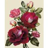 Blooming Roses | Full Round Diamond Painting Kits