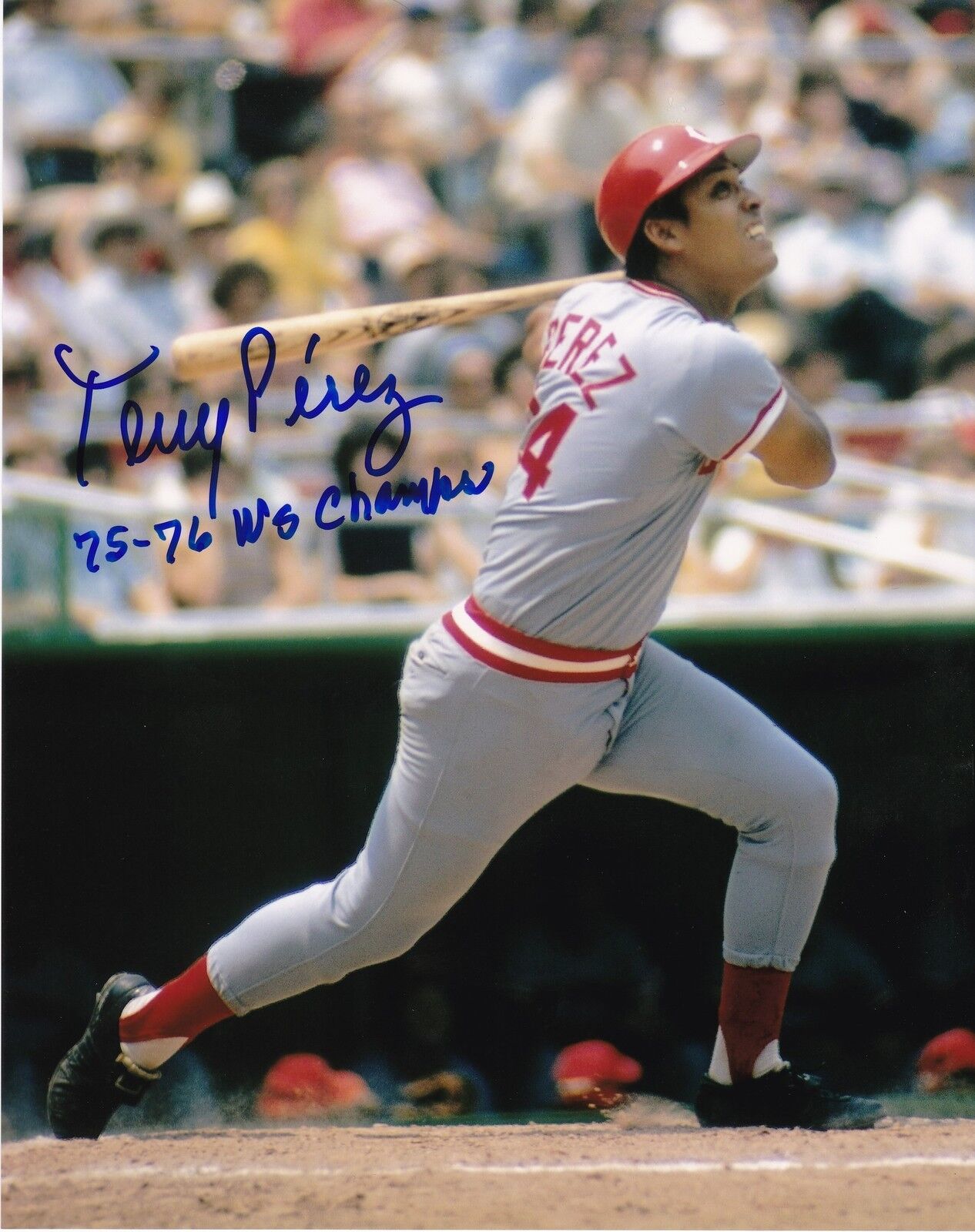 TONY PEREZ CINCINNATI REDS 75,76 WS CHAMPS ACTION SIGNED 8x10