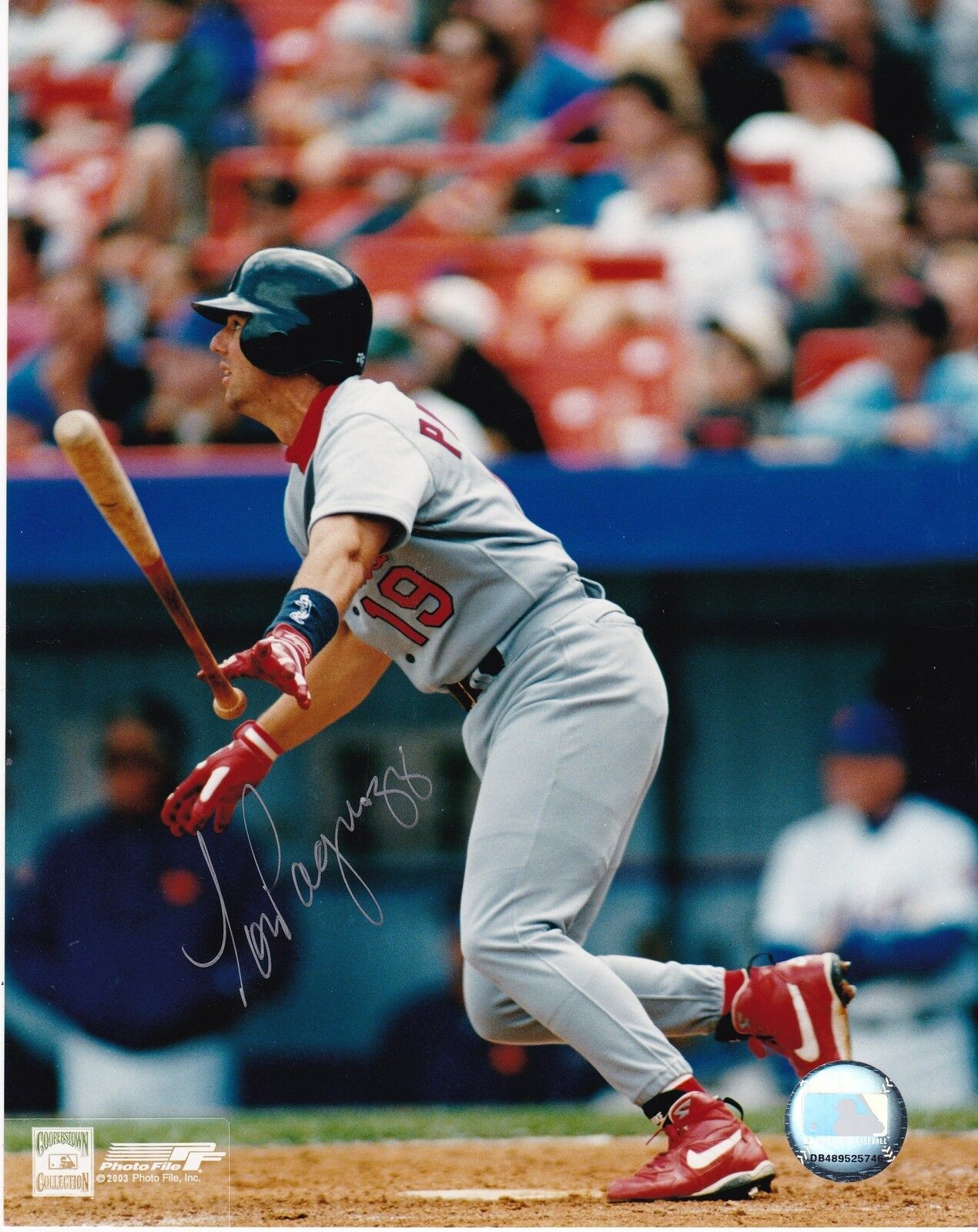 TOM PAGNOZZI ST. LOUIS CARDINALS ACTION SIGNED 8x10