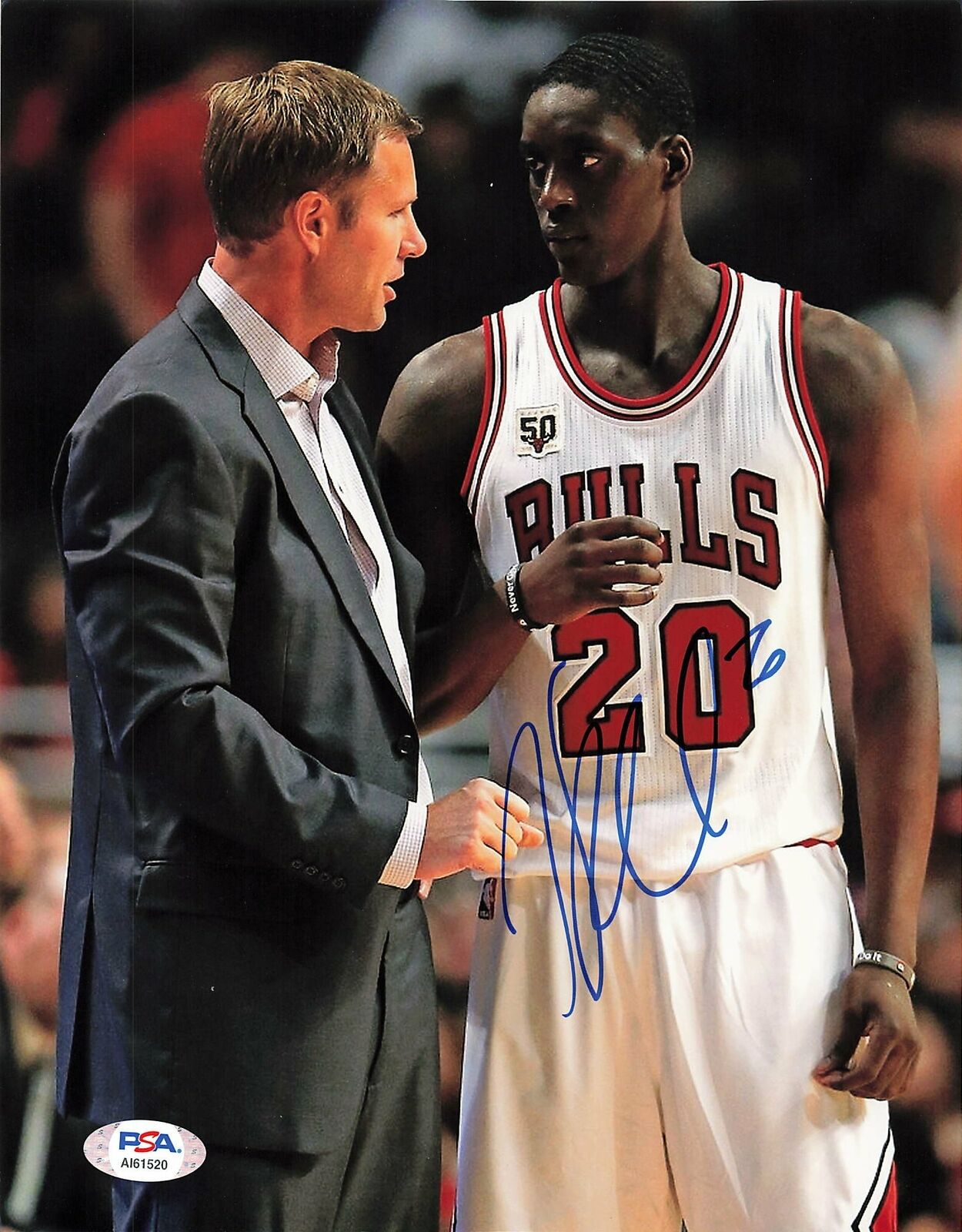 Tony Snell signed 8x10 Photo Poster painting PSA/DNA Chicago Bulls Autographed