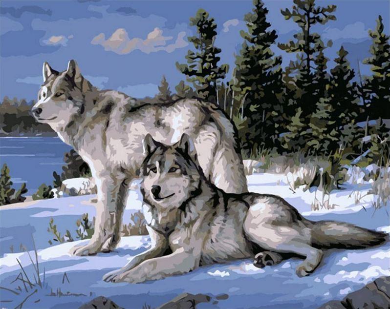 

Snow Gray Wolves – Paint By Numbers - 40*50CM, 501 Original