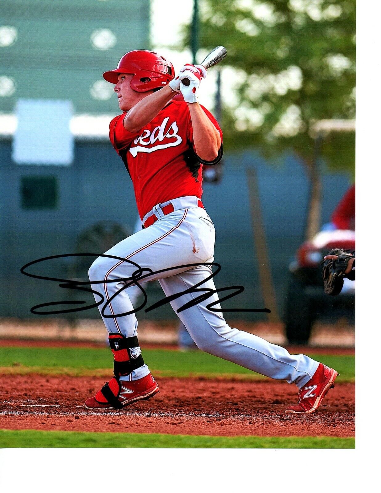 Tyler Stephenson CIncinnati Reds Star Catcher Signed 8x10 Photo Poster painting