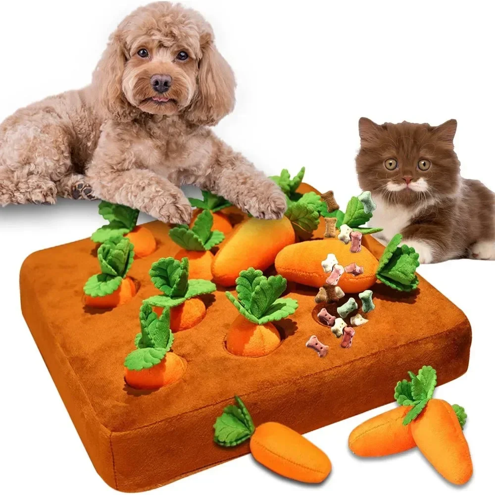 Carrot Fun Snuffle Mat