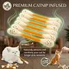 ❤️For happy, healthy, and active indoor cats🐱Swabs Large Size Cat Toys with Catnip
