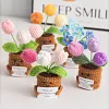 (Finished Product)Crochet Flower Potted Doll with Positive Card Desktop Ornaments, Potted Plants, Bouquets Gift Home Decor