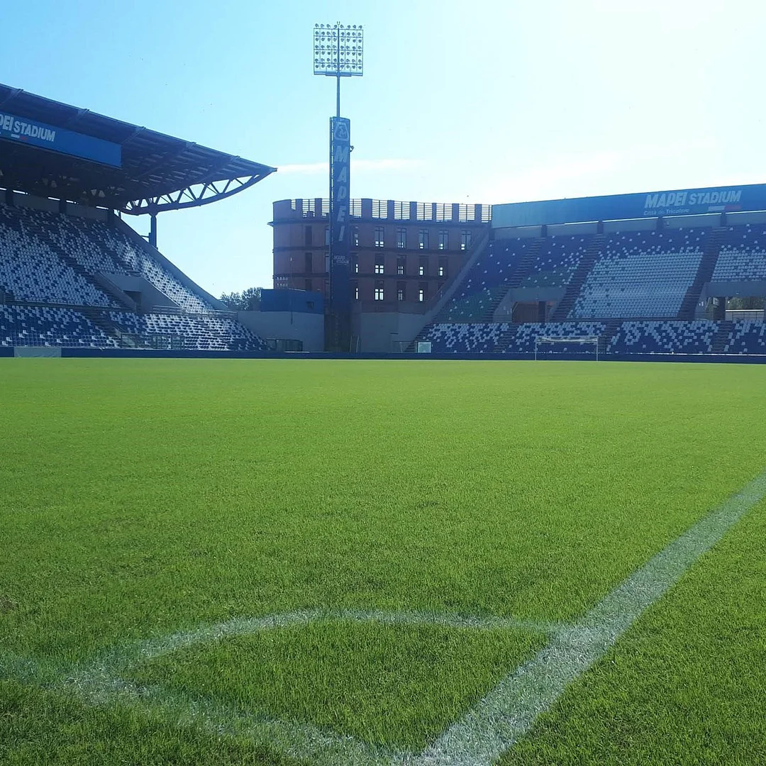 Monaco Bermuda Grass Seed