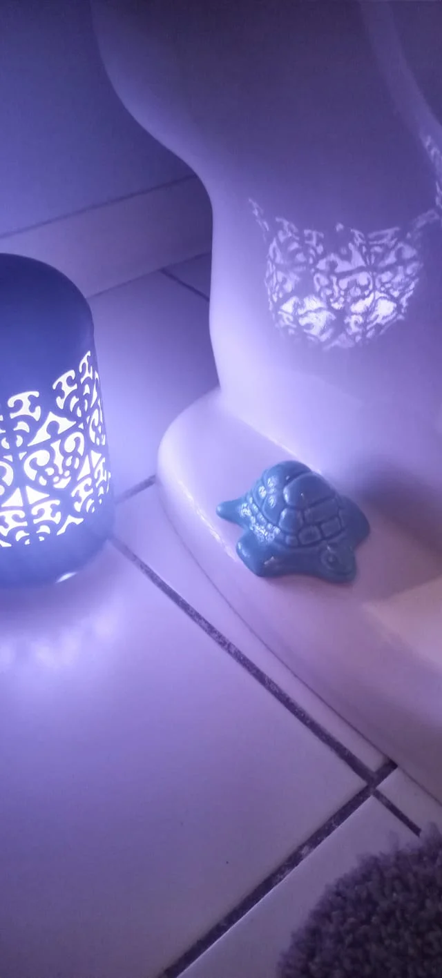 2 Cartoon Sea Turtle Porcelain Toilet Bolt Covers