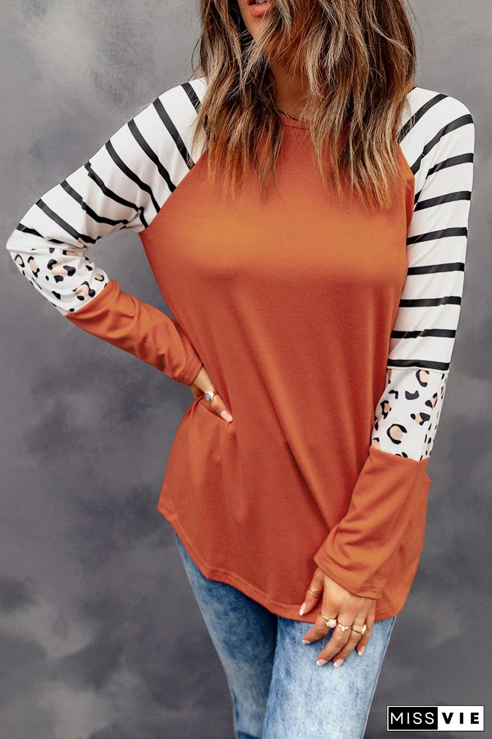 Striped Animal Print Colorblock Long Sleeve Top