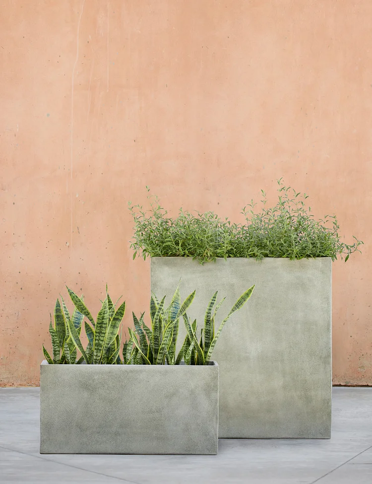 Metro Box Planters by Campania International